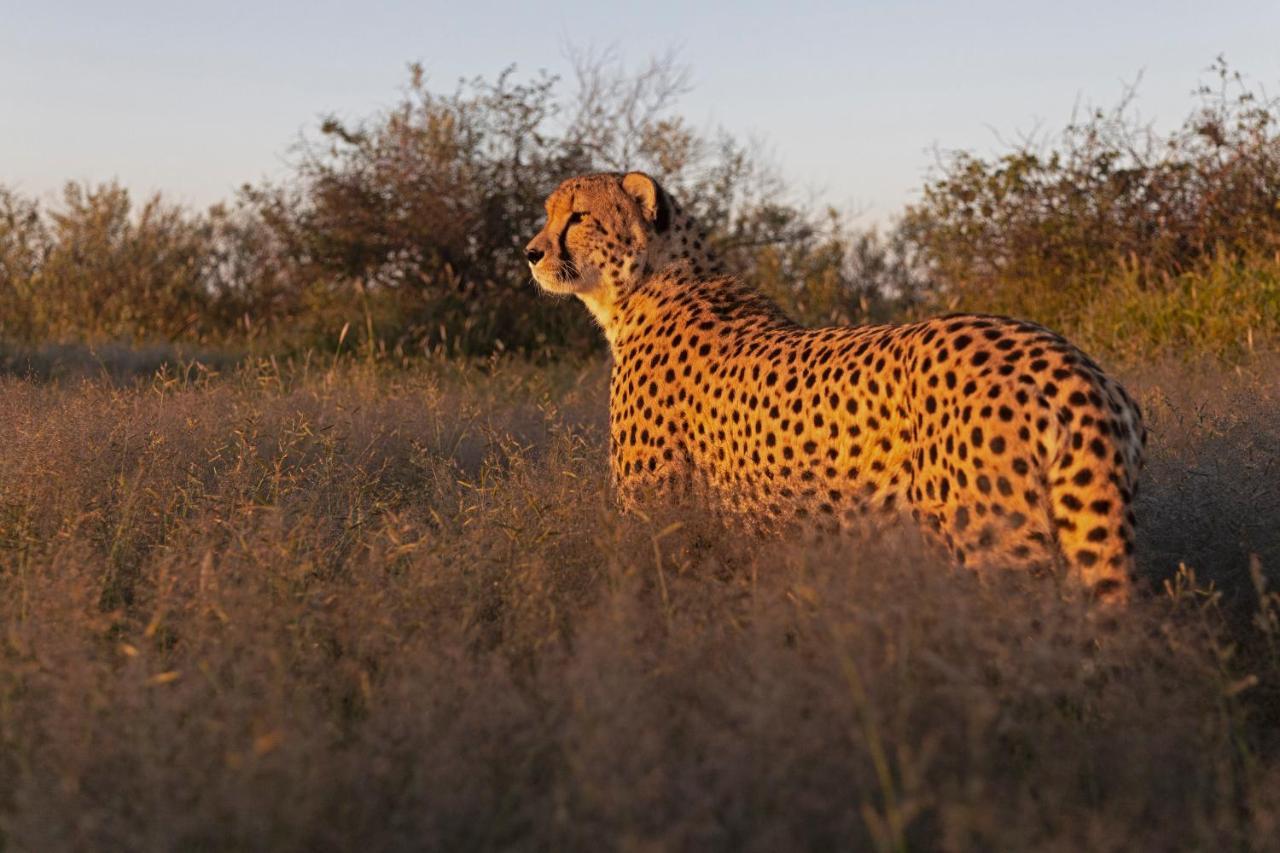 Naankuse Lodge Windhoek Luaran gambar